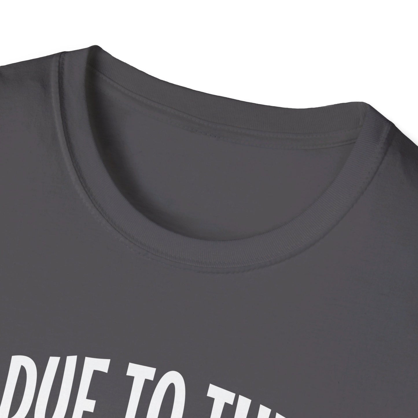 Due To The Economy This Is My Halloween Costume T-Shirt