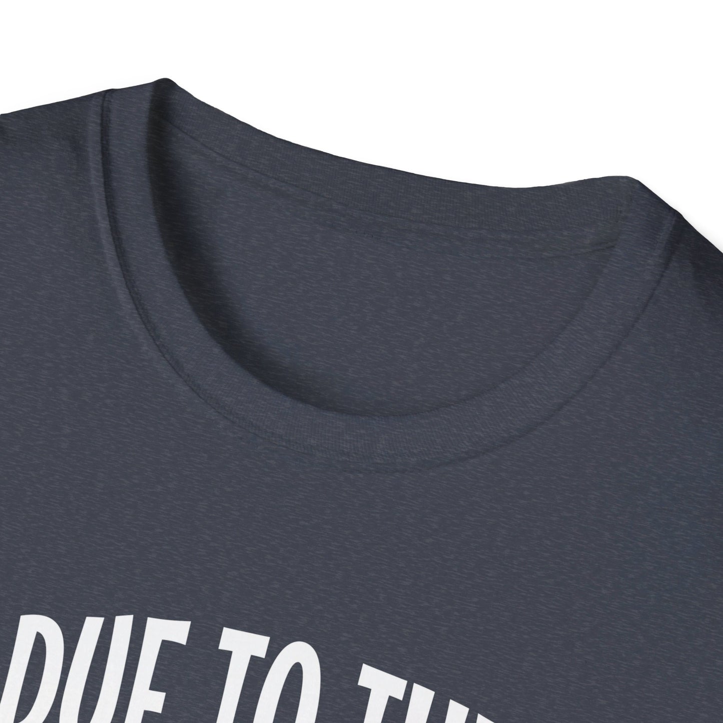 Due To The Economy This Is My Halloween Costume T-Shirt