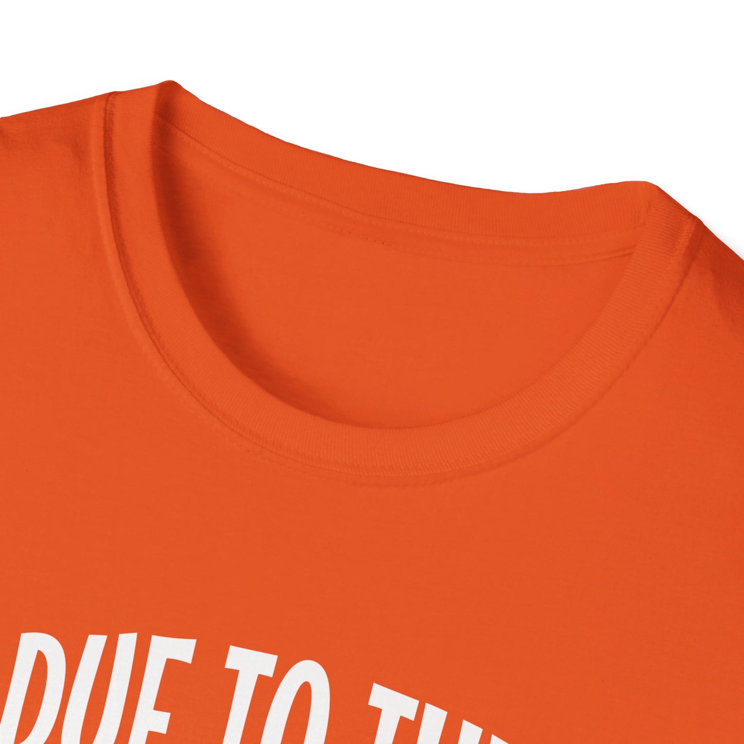 Due To The Economy This Is My Halloween Costume T-Shirt