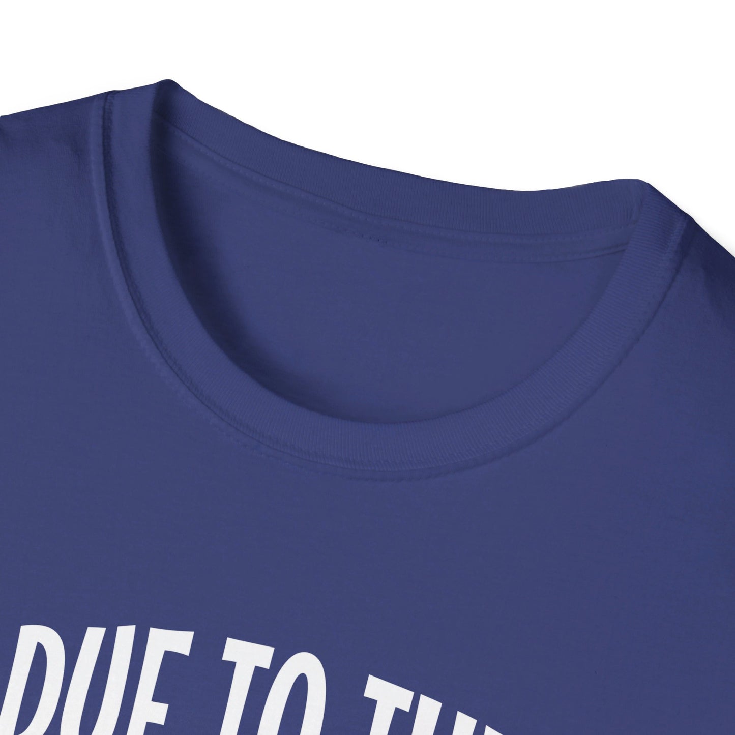 Due To The Economy This Is My Halloween Costume T-Shirt