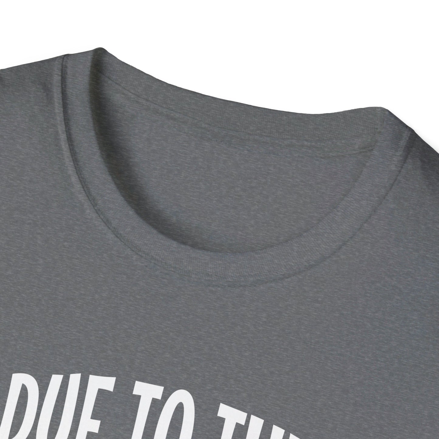 Due To The Economy This Is My Halloween Costume T-Shirt