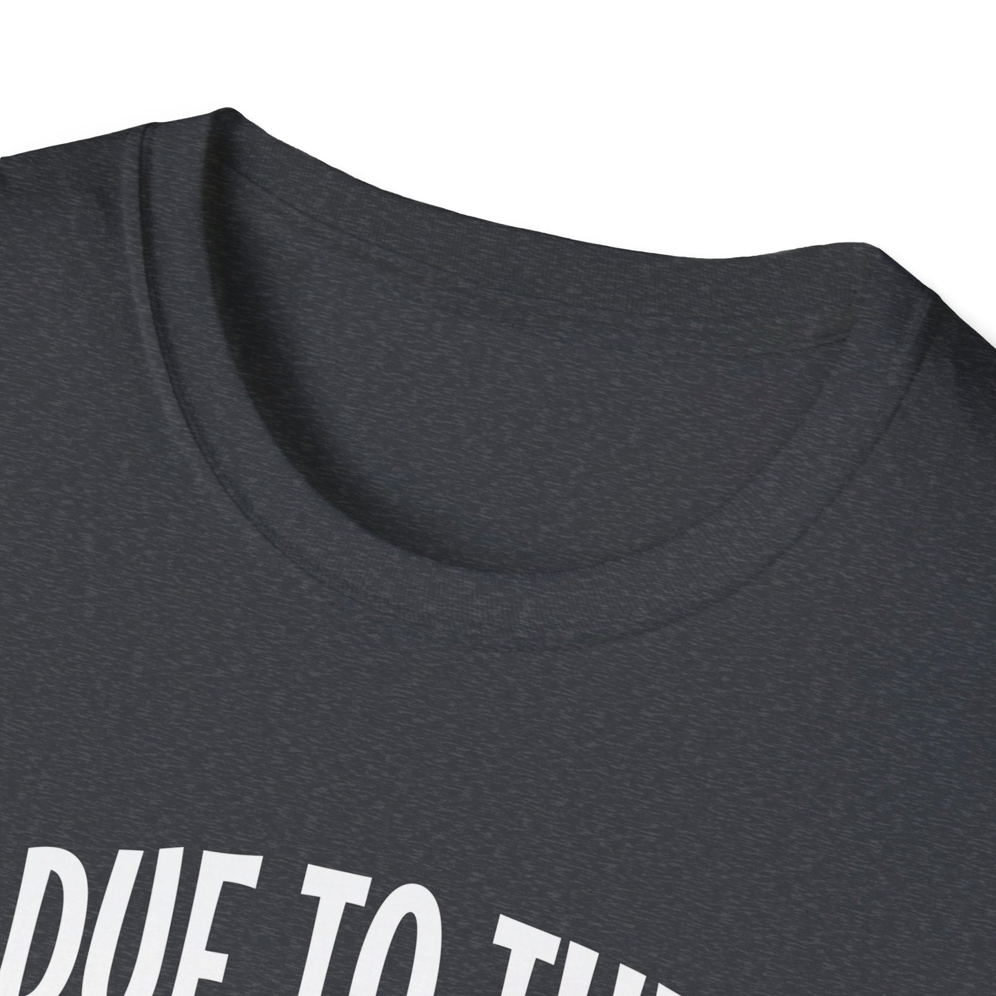 Due To The Economy This Is My Halloween Costume T-Shirt