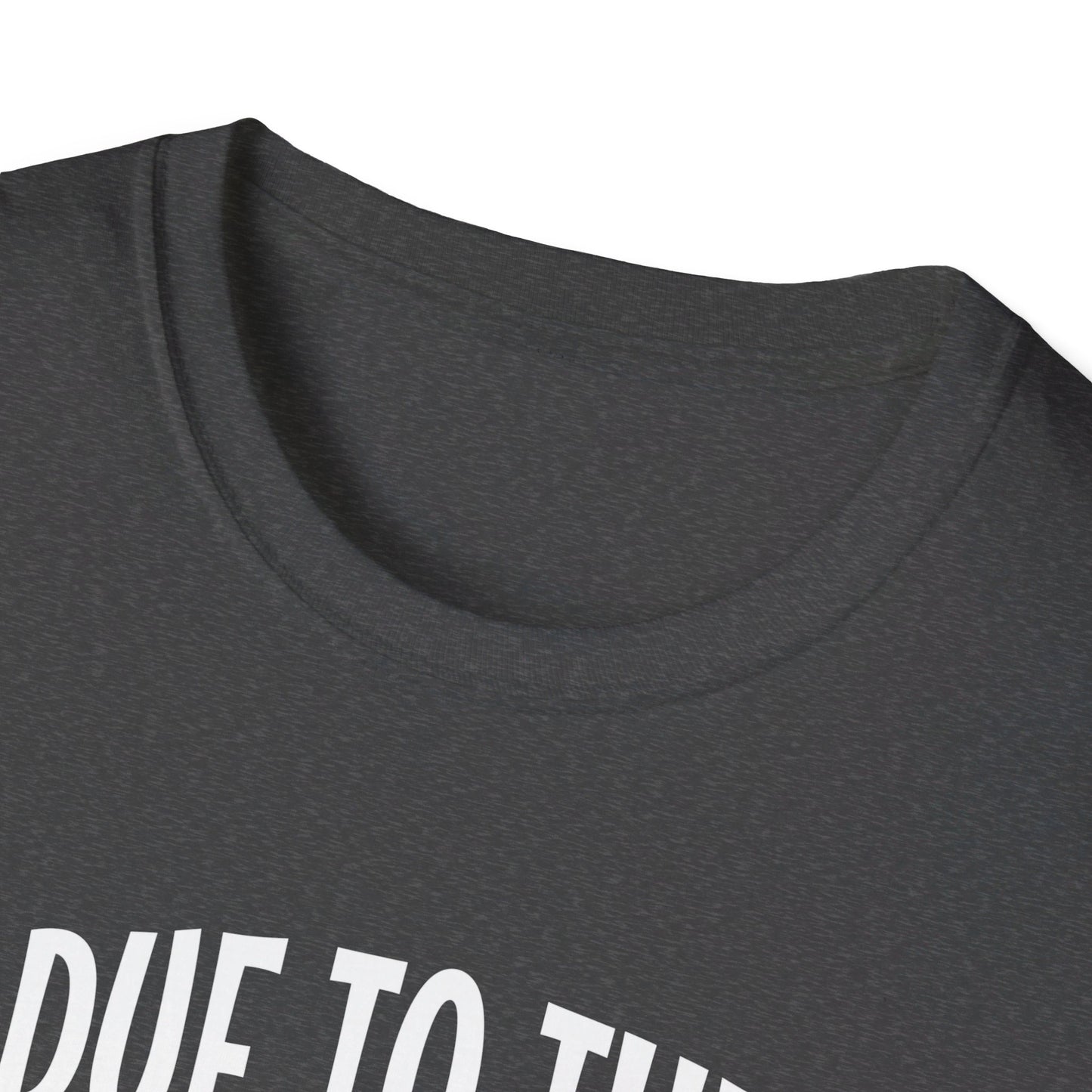 Due To The Economy This Is My Halloween Costume T-Shirt